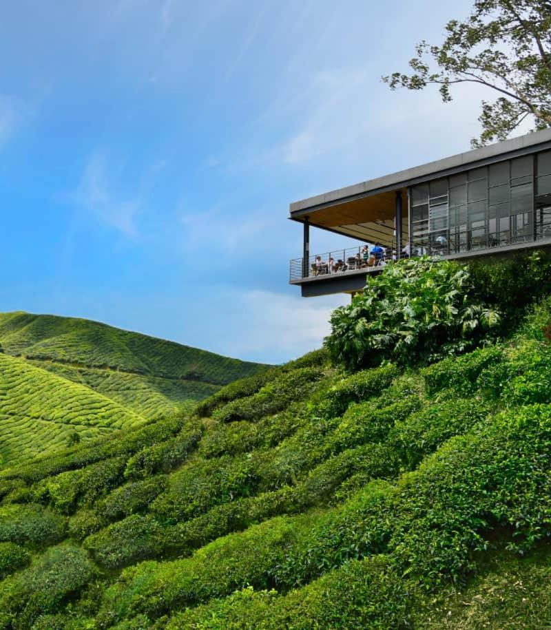 Myuko Homestay Бринчанг Экстерьер фото